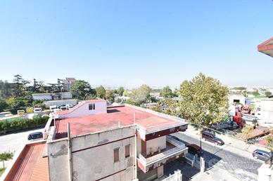 5 LOCALI A POLLENA TROCCHIA