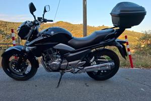 Suzuki Inazuma 250 - 2013