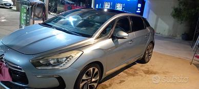 ds ds5  ibrida