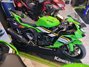 kawasaki-ninja-636-my-2025