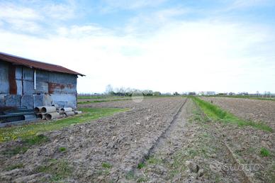 TER. AGRICOLO A ERACLEA