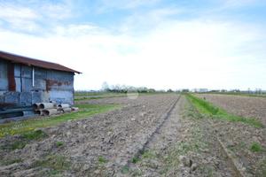 TER. AGRICOLO A ERACLEA
