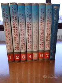 Nel meraviglioso regno degli animali