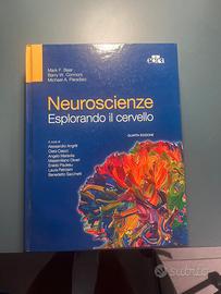 Neuroscienze - esplorando il cervello