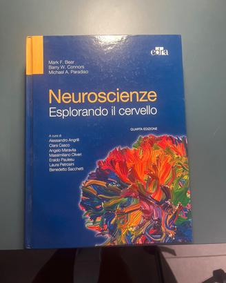 Neuroscienze - esplorando il cervello