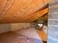 Immagine 26