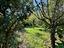 Immagine 18