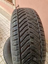 Gomme Riken quattro stagioni