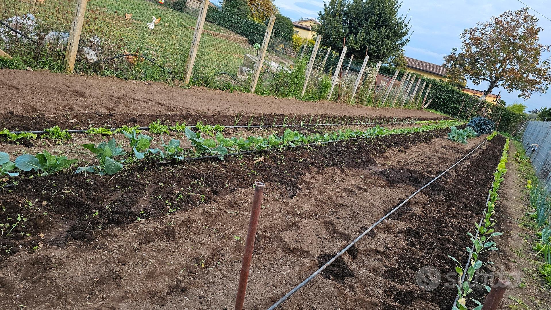 terreno agricolo frattocchie - Altro