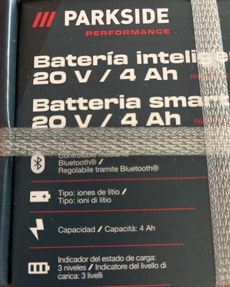 Batteria PARKSIDE