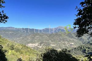 Perinaldo - Rif. BL925