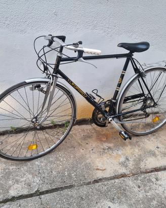 bicicletta sportiva 