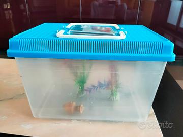 trasportino per pesci