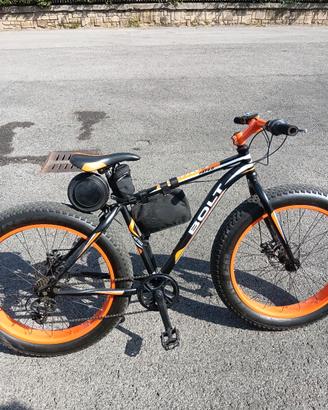 Fat bike