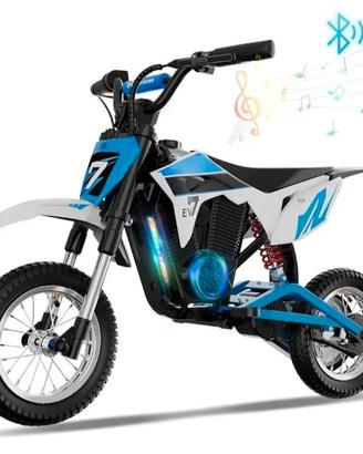 Moto elettrica 