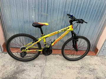 Bici mtb  bambino ragazzo torpado