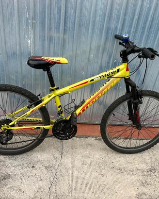 Bici mtb  bambino ragazzo torpado