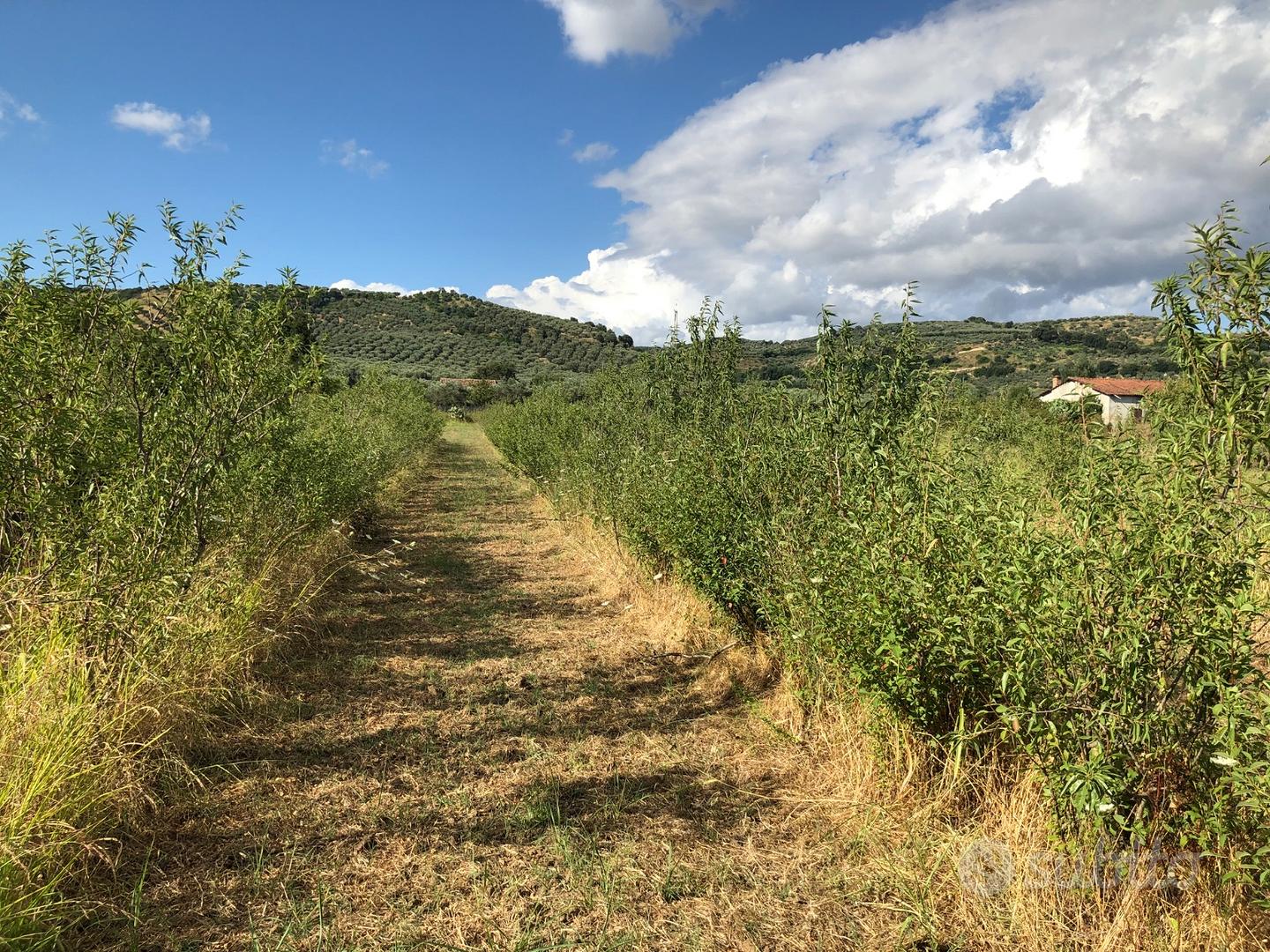 Terreno Agricolo - Altro