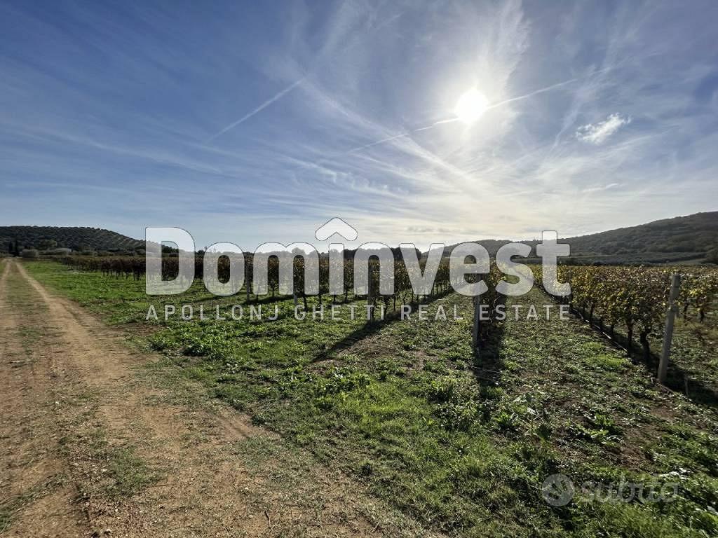 Rustico / Casale di 125 m² con 2 locali a Capalbio - Altro