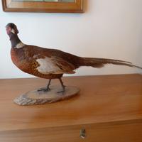 FAGIANO, CON BASE IN LEGNO