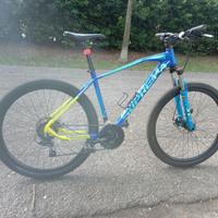 Bici mountain bike