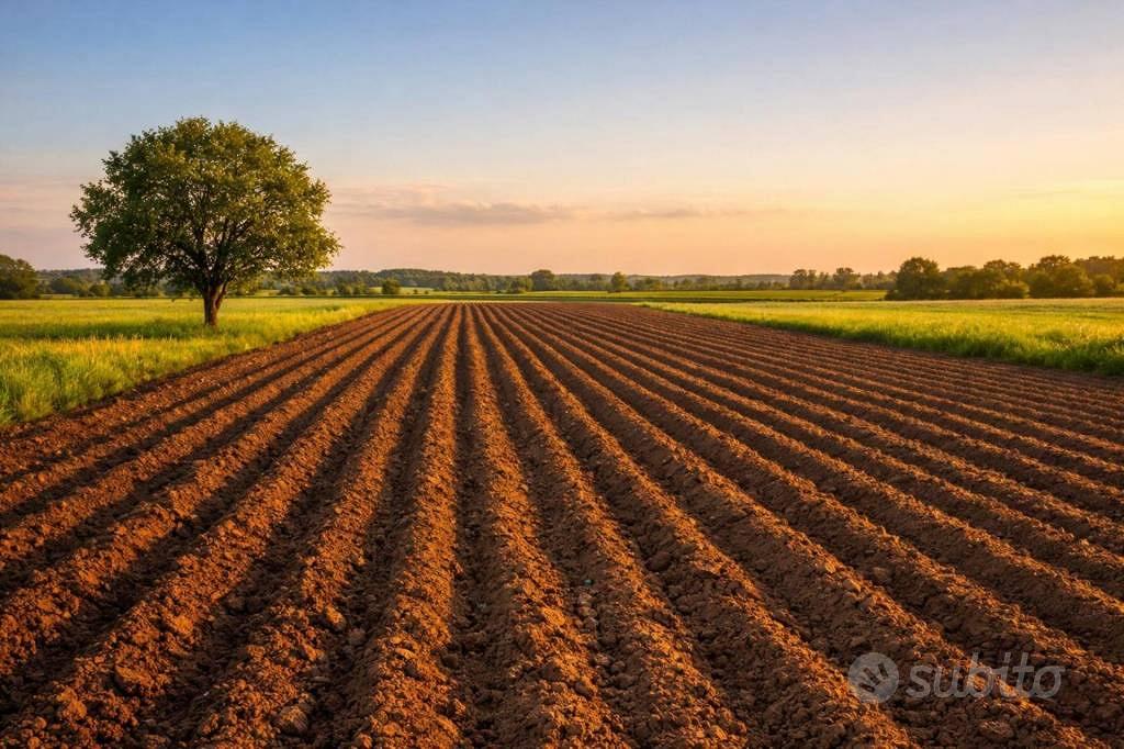 Immobile in asta di 4310 m² a Redondesco - Vista 5