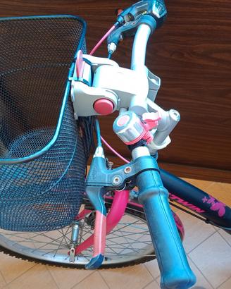 Bicicletta Ragazza con cestino , misura 24.