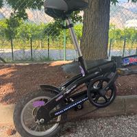 Bicicletta pieghevole