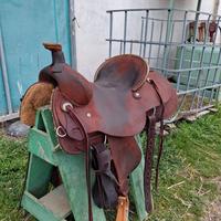 Sella ranch cutter western americana