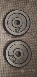 2 pesi da 2kg l'uno totale 4kg