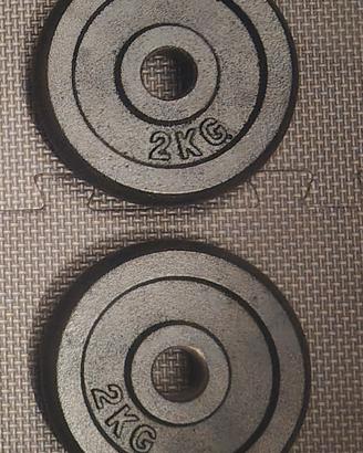 2 pesi da 2kg l'uno totale 4kg