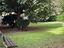 Immagine 20