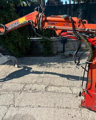 A161 BRACCIO CON PINZA FORESTALE - GRU