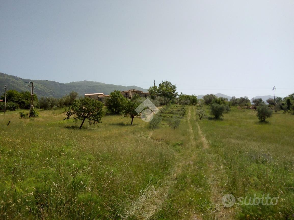 RUSTICO A ALVITO - Vista 4