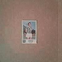 Figurine Juventus album calciatori panini 1978/79