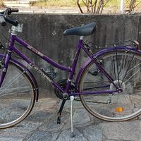 bicicletta