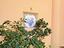 Immagine 22