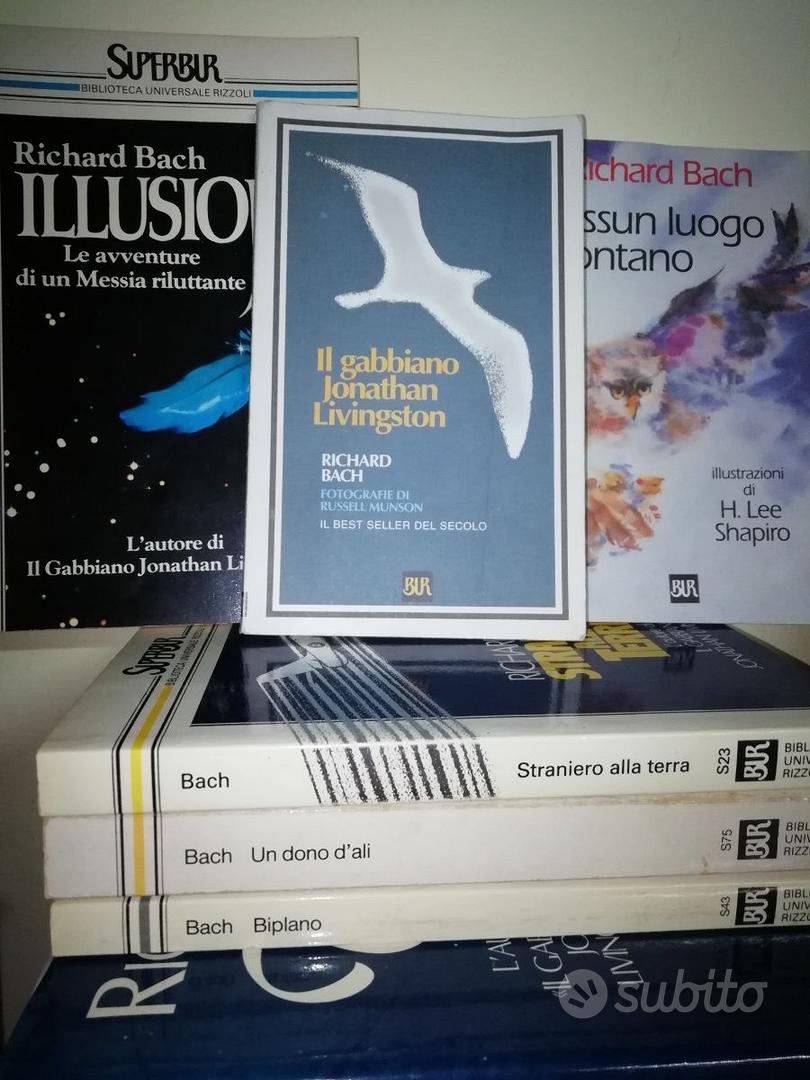 Il gabbiano Jonathan Livingston (Richard Bach): riassunto