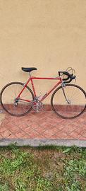 Colnago master