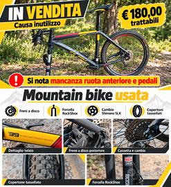 MOUNTAIN BIKE
