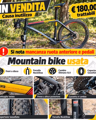 MOUNTAIN BIKE
