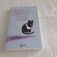 Storia di una gabbianella