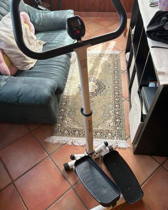Stepper StepTwist – in buone condizioni