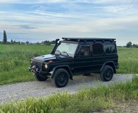 Mercedes-benz G 300 Professional