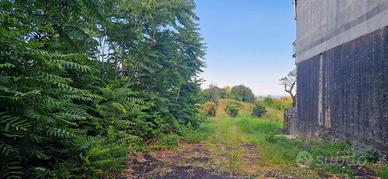 SANTA VENERINA terreno agricolo 1 ha