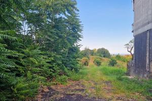 SANTA VENERINA terreno agricolo 1 ha