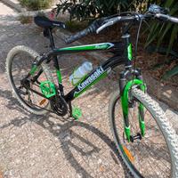 Mountain bike Kawasaki 
