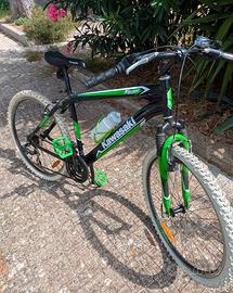 Mountain bike Kawasaki 