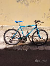 bicicletta 