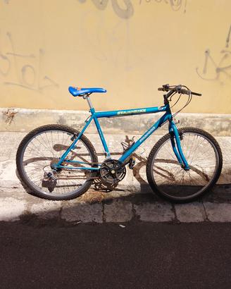 bicicletta 